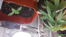 20160225_152240.jpg