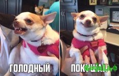 KFftxDfx1Lw.jpg