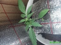 20160301_140919.jpg