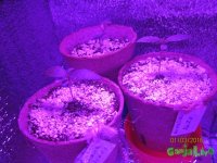 IMG_6863.JPG