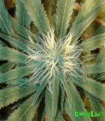 20160302_104728.jpg