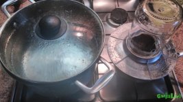 IMG_20160302_121604.jpg