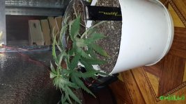 20160303_120644.jpg
