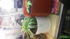 20160303_122255.jpg