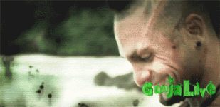 Vaas_gif.gif