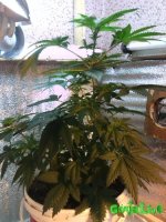 IMG_20160304_194319.jpg