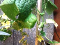 IMG_20160304_194312.jpg