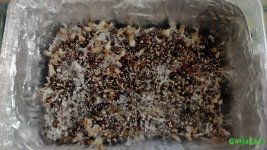 SMART_20160306_120639.jpg