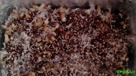 SMART_20160306_120811.jpg