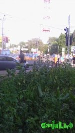 IMG_20150609_192013.jpg