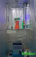 2016-03-07 21-47-07.JPG