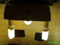20160308_173030.jpg