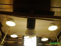20160308_173036.jpg