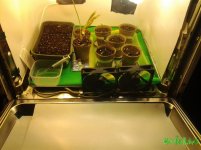 20160308_173048.jpg