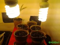 20160308_190539.jpg