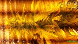 20160309_114757.jpg