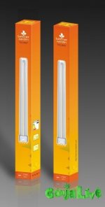 tcl-yello.jpg