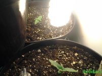 20160312_201310.jpg