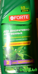 бона форте.png