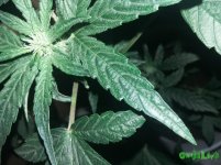 20160318_023144.jpg