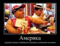 1332300743_prikol_mac_donalds.jpg