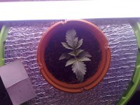 310320121389.jpg