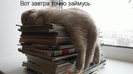 к1.jpg