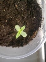 10042012142.jpg