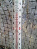 10042012147.jpg