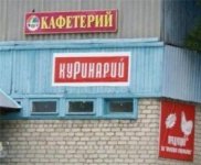 1037.jpg