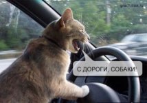 ufmQXnbJTE.jpg