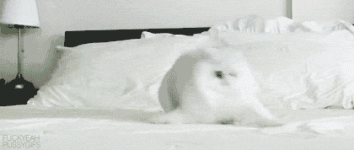 post-175560-1334932971.gif