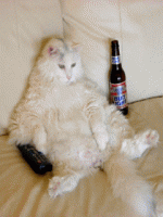 post-175560-1334904473.gif