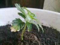 220420121207.jpg 220420121207.jpg