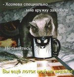 x_3636e590.jpg