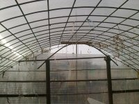 26042012244.jpg
