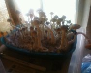 Изображение 058.jpg