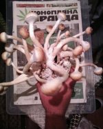 Изображение 013.jpg