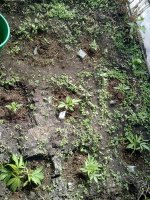 29042012261.jpg