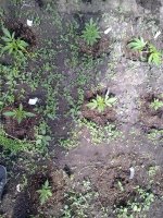 29042012264.jpg