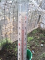 29042012267.jpg
