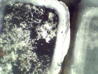2012-04-29-11-45-39-671.jpg