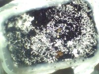 2012-04-29-12-22-32-609.jpg