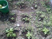 30042012269.jpg