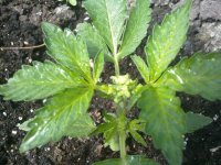 30042012277.jpg