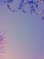 Фото3109.jpg
