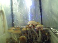 2012-05-03-11-29-45-359.jpg