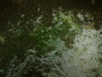 040520121287.jpg