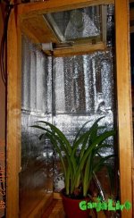 DSCN8172.jpg