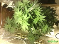 14)26.03.59 ДН.jpg